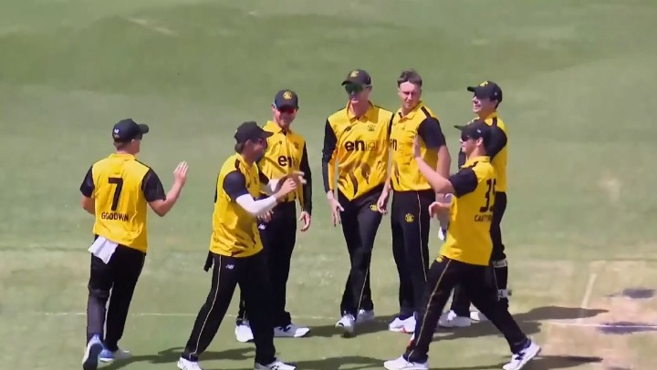 Western Australia beat Queensland by 6 wickets | Match 5