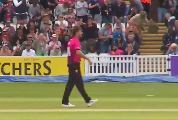 Somerset vs Hampshire: Ben Green's 5 for 29