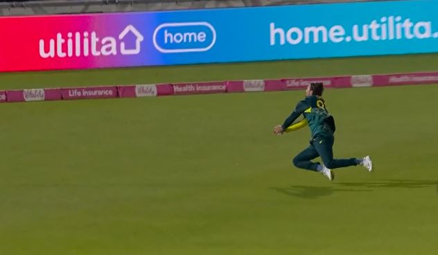 BOW DOWN! Tim David's unreal catch leaves everyone speechless