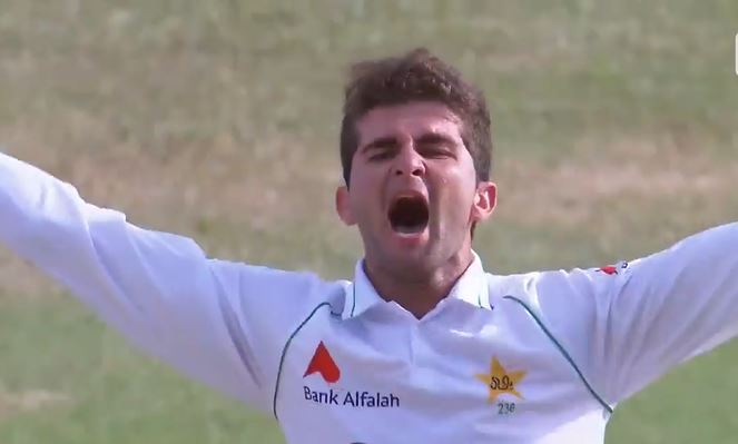 Shaheen Afridi stars with career best 6 for 51