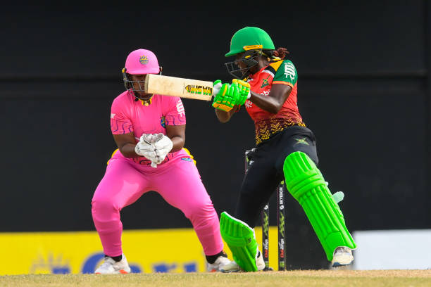 Stafanie Taylor's brisk knock of 33 for GUY-W