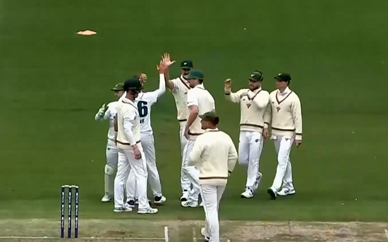 3/34! Peter Siddle mangles Victoria