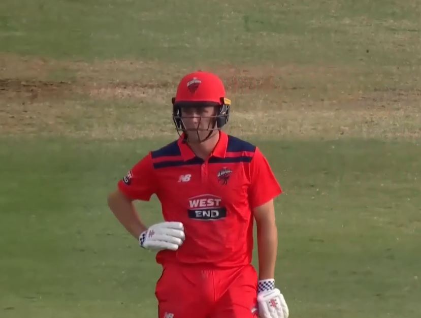 Henry Hunt's resilient 50 gives South Australia a good start