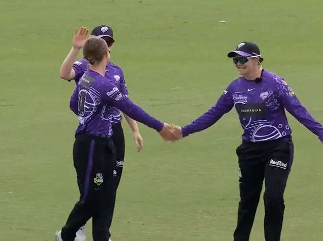 Hobart Hurricanes waltz past Melbourne Renegades by 8 wickets