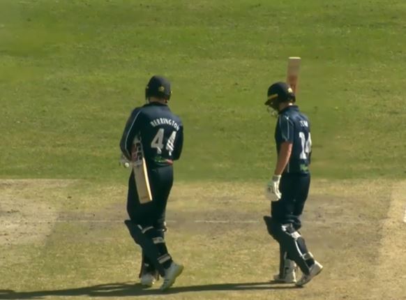 United Arab Emirates vs Scotland: Charlie Tear's 54* off 68