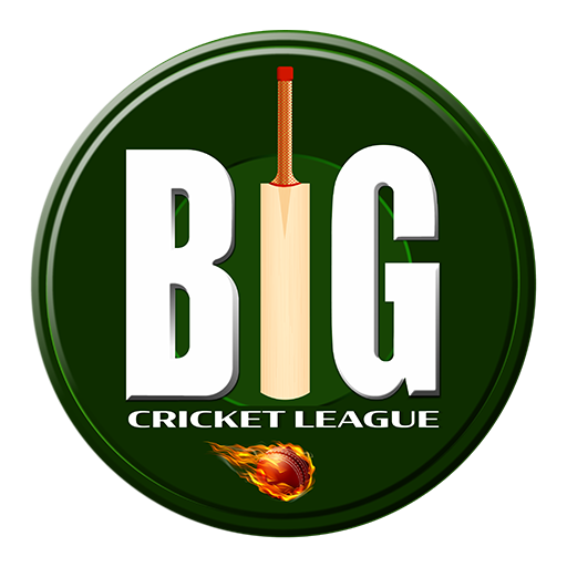 Big Cricket League, 2024 tour